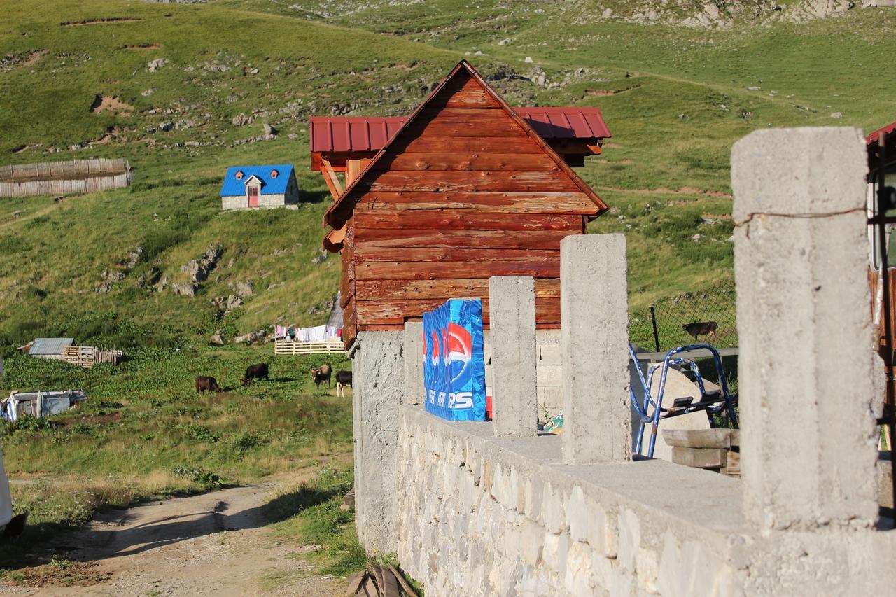 Albergue Rural Household Minic - Kapetanovo Jezero Kolašin Exterior foto